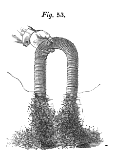 Electroimán: electricidad y magnetismo interconectados