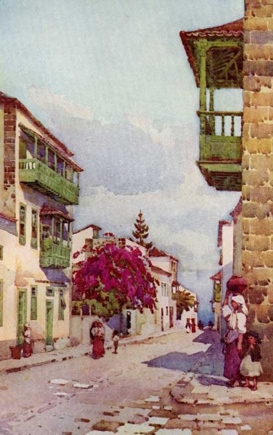 Puerto de la Cruz, Du Cane, 1911