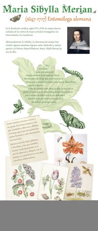 Maria Sybilla Merian - Entomóloga alemana