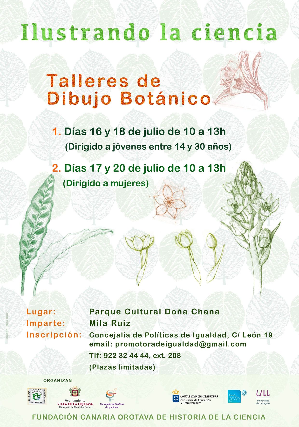 Cartel de taller de dibujo botánico