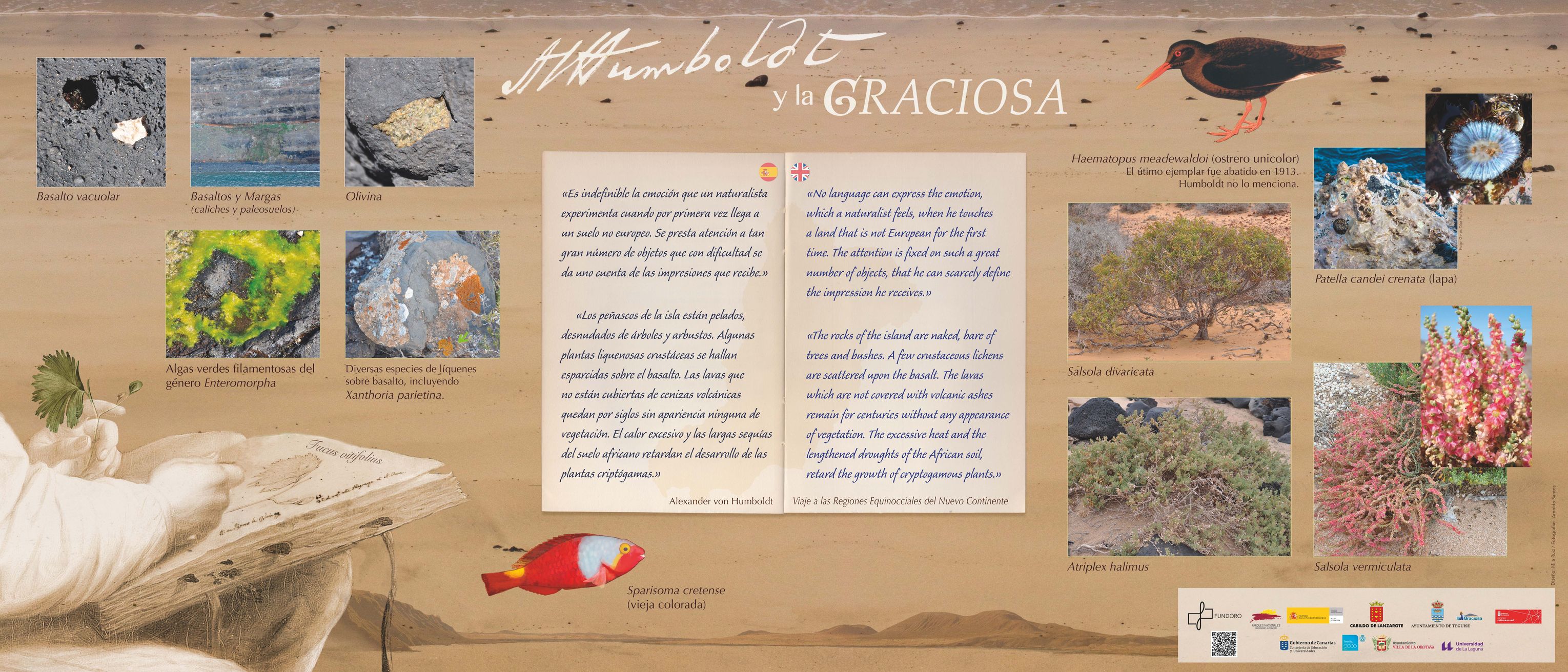 Segunda mesa interpretativa con muestras de botánica, fauna y geología de La Graciosa