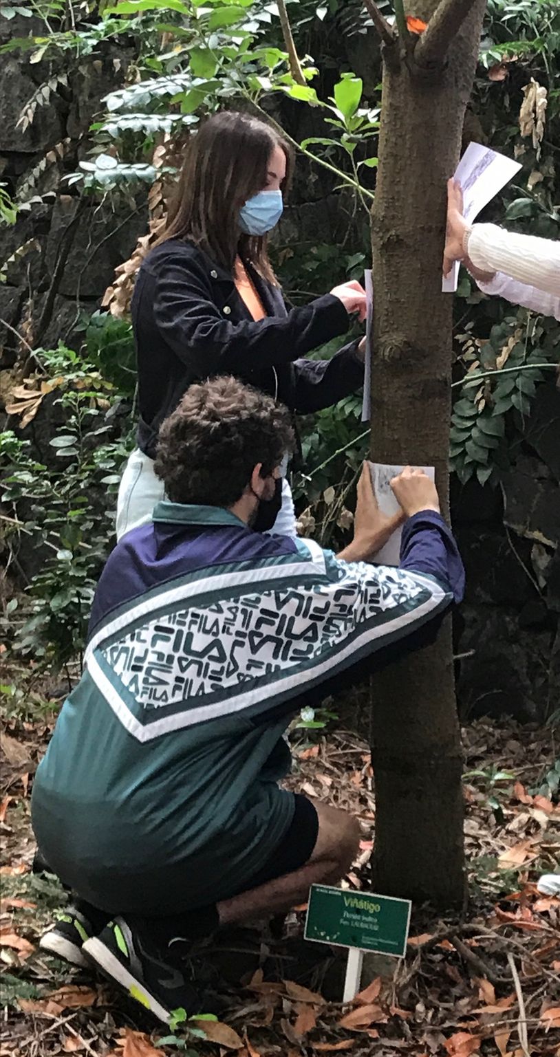 Foto taller dibujo botánico Arozarena 2