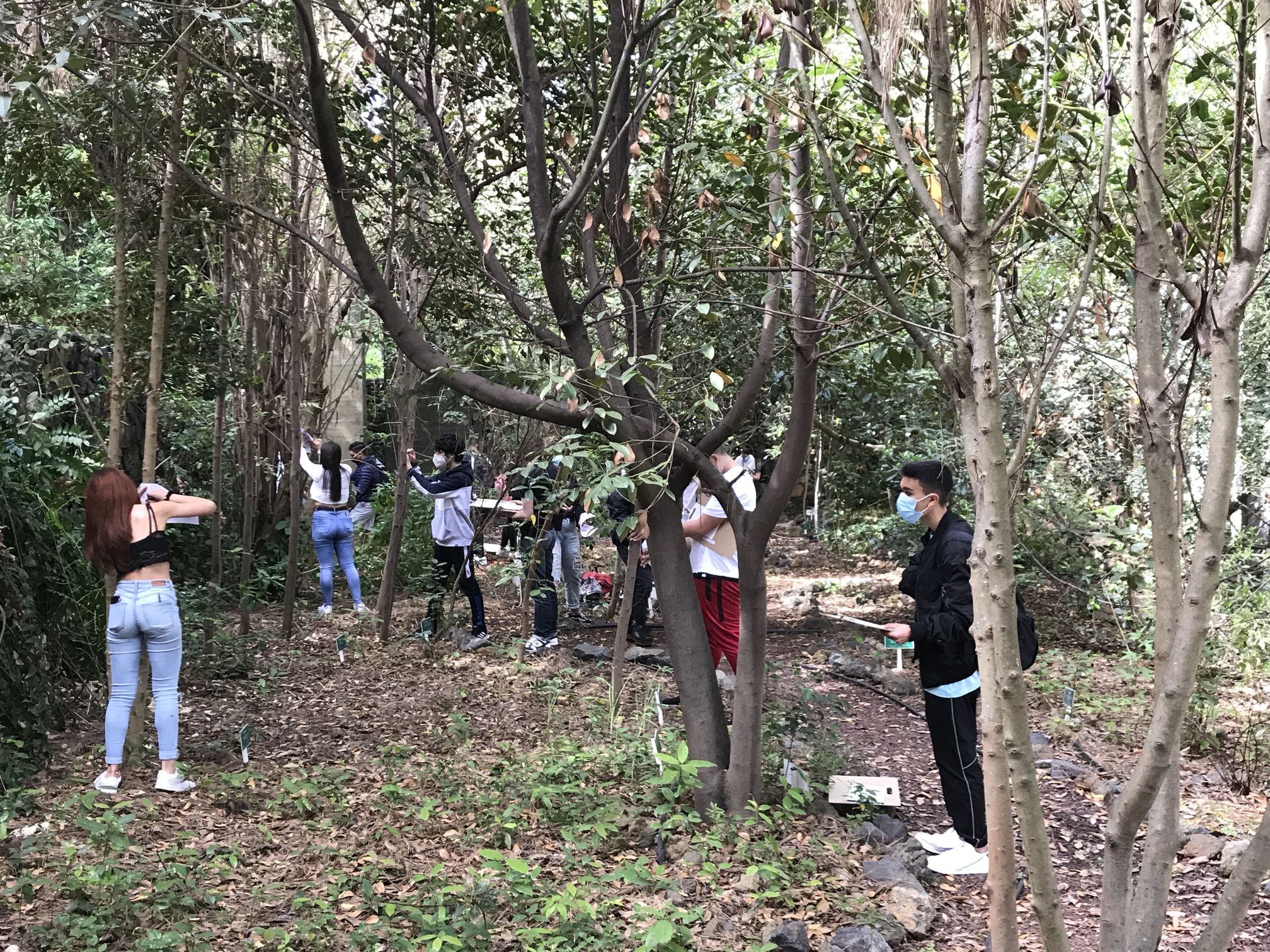 Foto taller dibujo botánico Arozarena 1