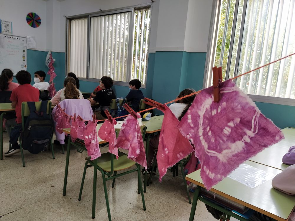 Taller cochinilla Ramón y Cajal 1