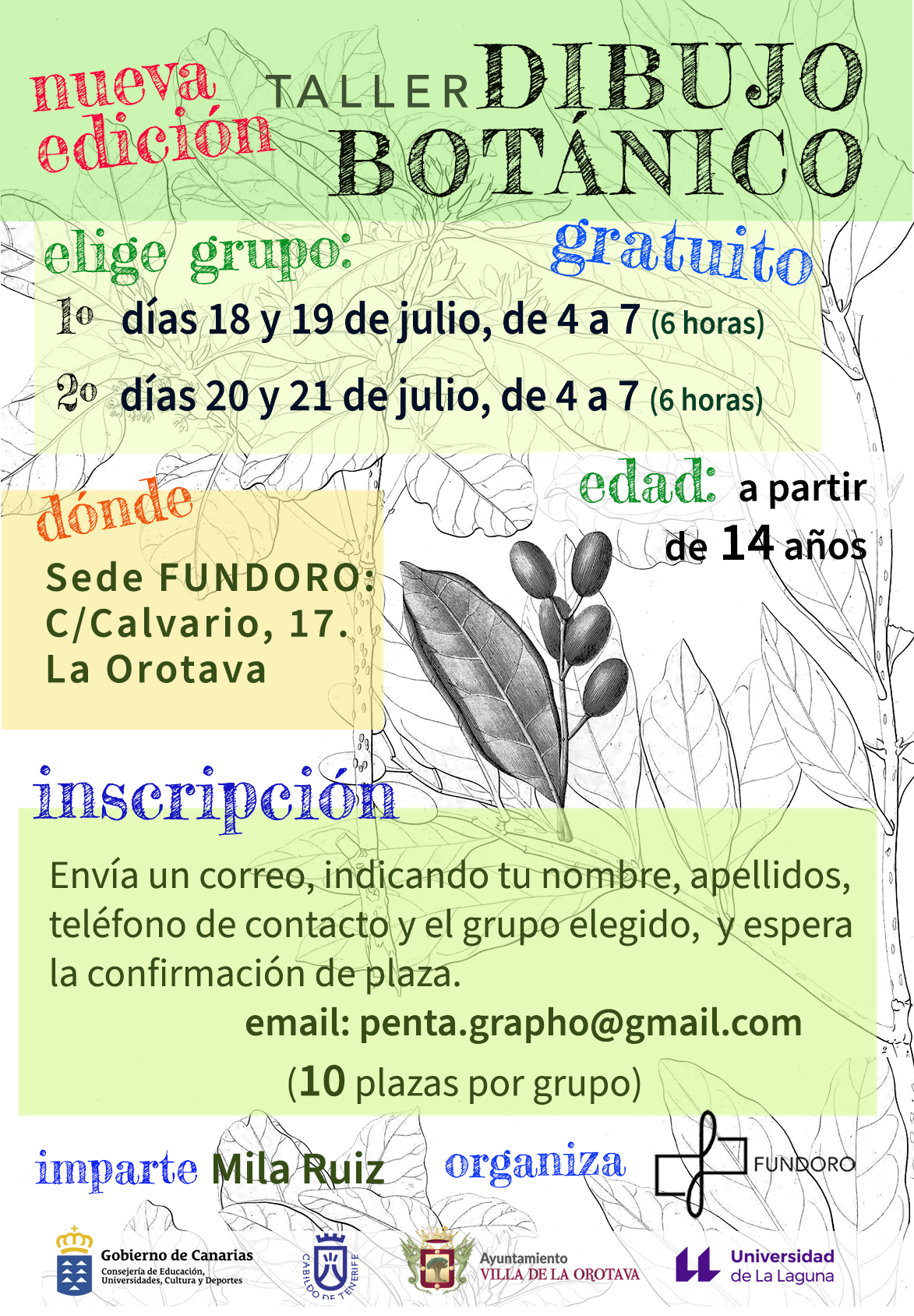 Taller dibujo botánico - Fundoro julio 2022