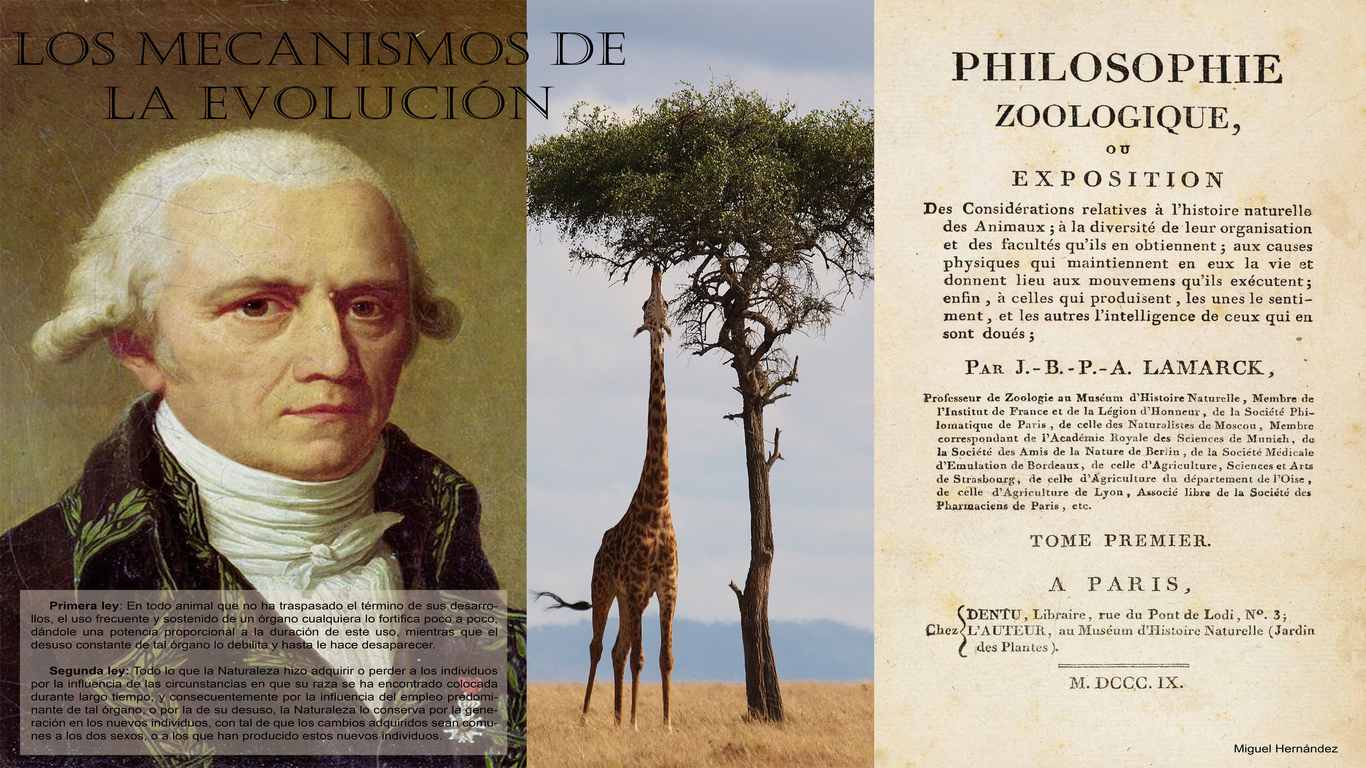 Lamarck - Exposición sin tiempo