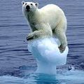Cambio climático