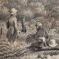 Historia Natural de las Islas Canarias
