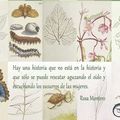 ¿Olvidó la Revolución Científica a las mujeres?