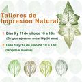 Talleres de impresión natural impartidos por Mila Ruiz