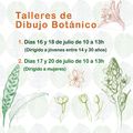 Talleres de dibujo botánico impartidos por Mila Ruiz
