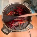 La Cochinilla: recetas de tinte carmesí fino