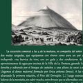Exposición del Día del Libro 2019