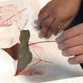 Taller de Impresión Natural por Mila Ruiz - Abril de 2023
