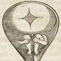 Historia de la Biología y la Geología