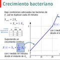 Videoconferencia "Modelos matemáticos para la vida"