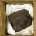 Conferencia "El origen cósmico de los meteoritos"